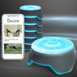 BlazePod Trainer Kit (set of 6 Pods) - QUICKPLAY - blazepod low-stock Soccer Training