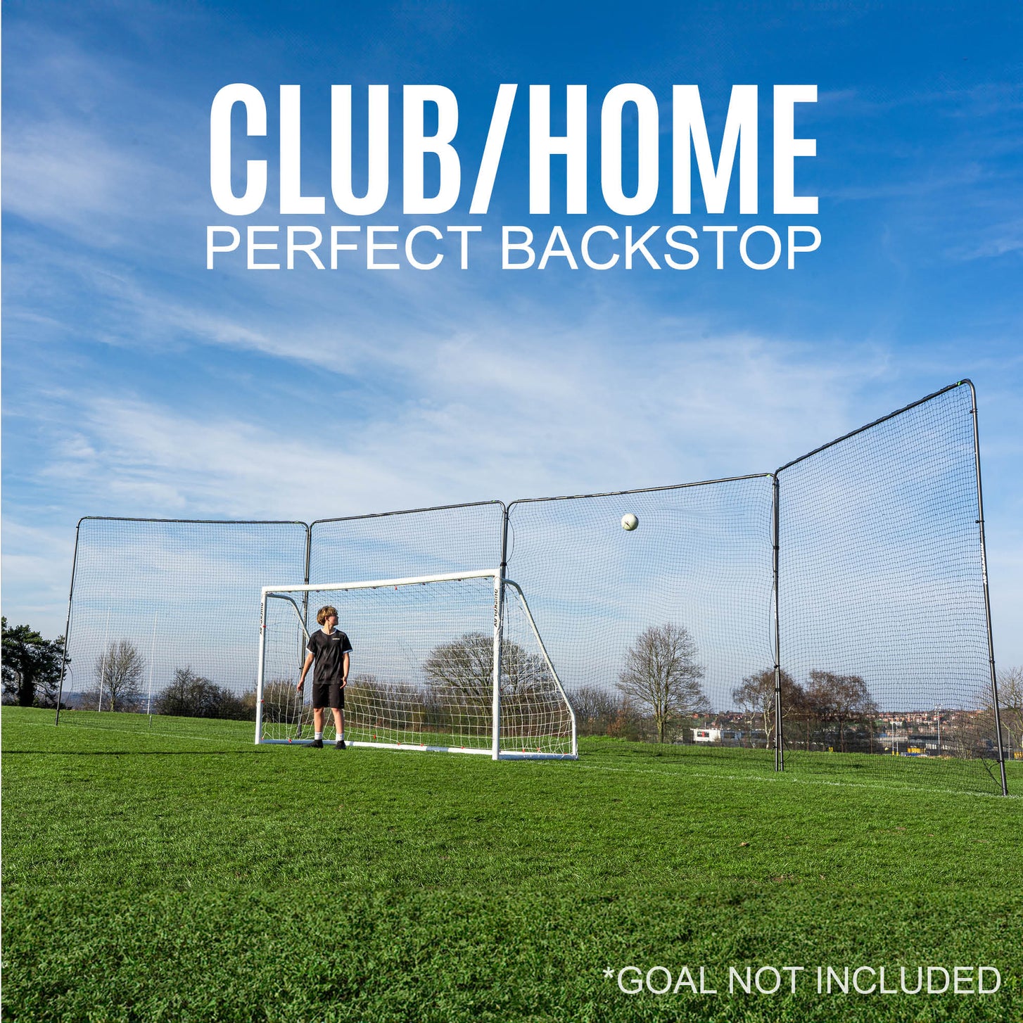 Soccer goal barrier net on a grass field with a clear blue sky.