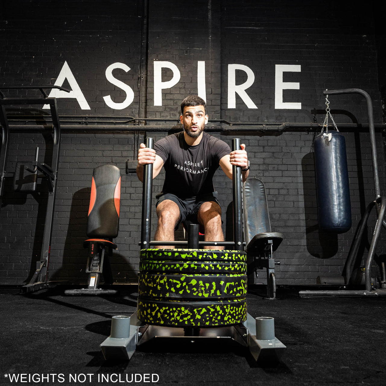 Push-Pull Power Sled